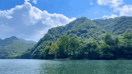 69ff15758d594.jpg