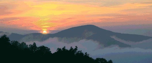 69ff15f52d99c.jpg